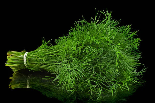Organic Dill