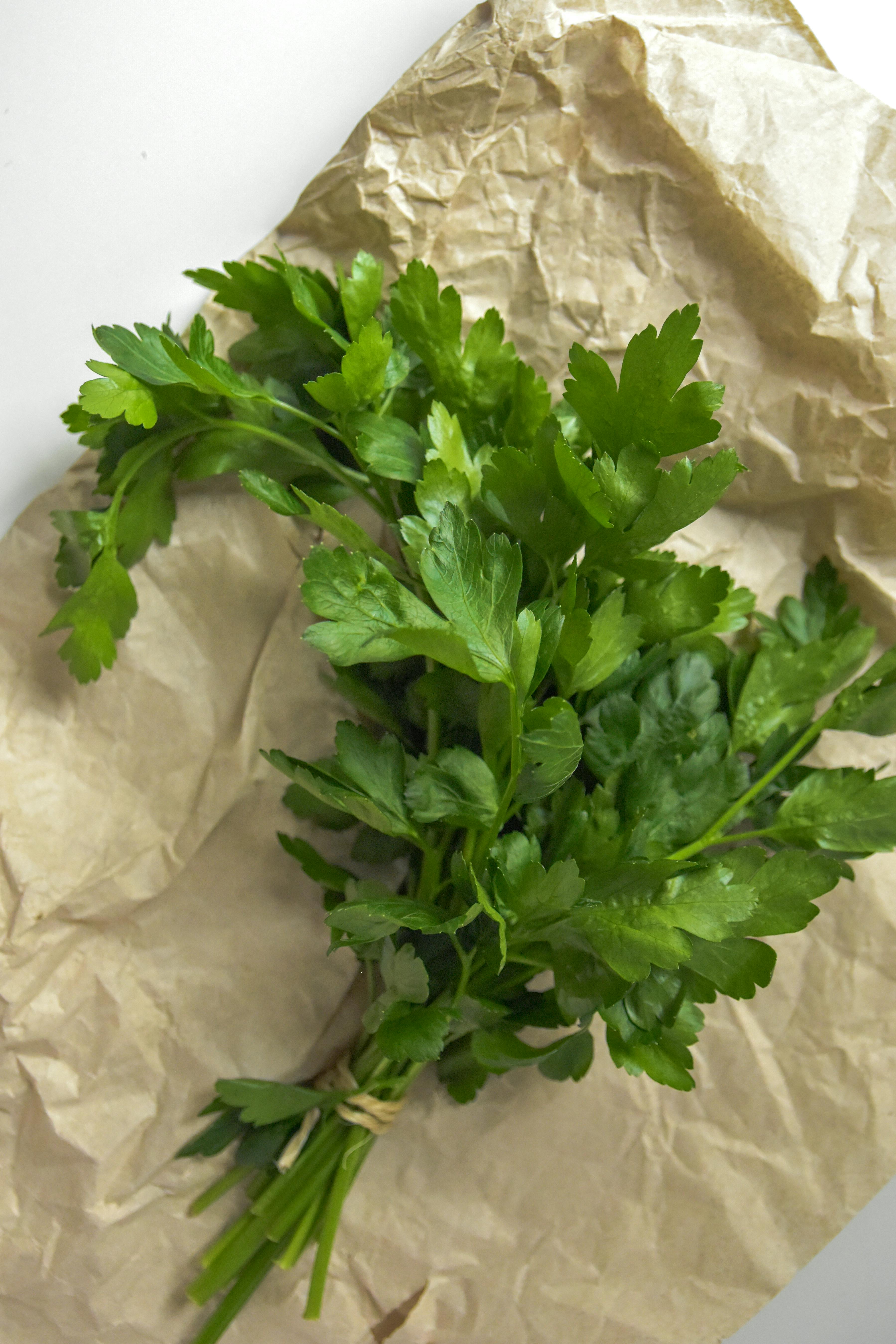 Organic Flat Leaf Parsley